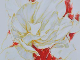 Celestial Flowers III  70x70 cm